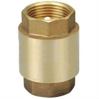 Brass Non Return Valve 1"