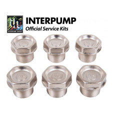 Interpump Service/Repair Kit 106