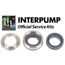 Interpump Service/Repair Kit 351