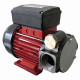 Renson UR Pumps Diesel Transfer Pumps 230v