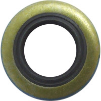 Pentair Sherwood 19674 Lip Seal for Sherwood 17000 Series Engine Cooling Pumps