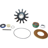 Pentair Sherwood Minor Repair Kit 23972 for P1700 Sherwood Engine Cooling Pumps