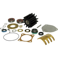 Pentair Sherwood Major Repair Kit 23974 for P1700 Series Sherwood Engine Cooling Pumps