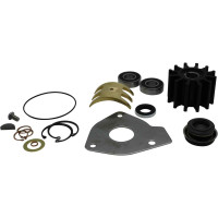 Pentair Sherwood Major Repair Kit 23977 for Sherwood Engine Cooling Pumps