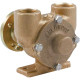 Pentair Sherwood Pedestal Mounted Engine Cooling Pumps