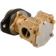 Pentair Sherwood Flange Mounted Engine Cooling Pumps